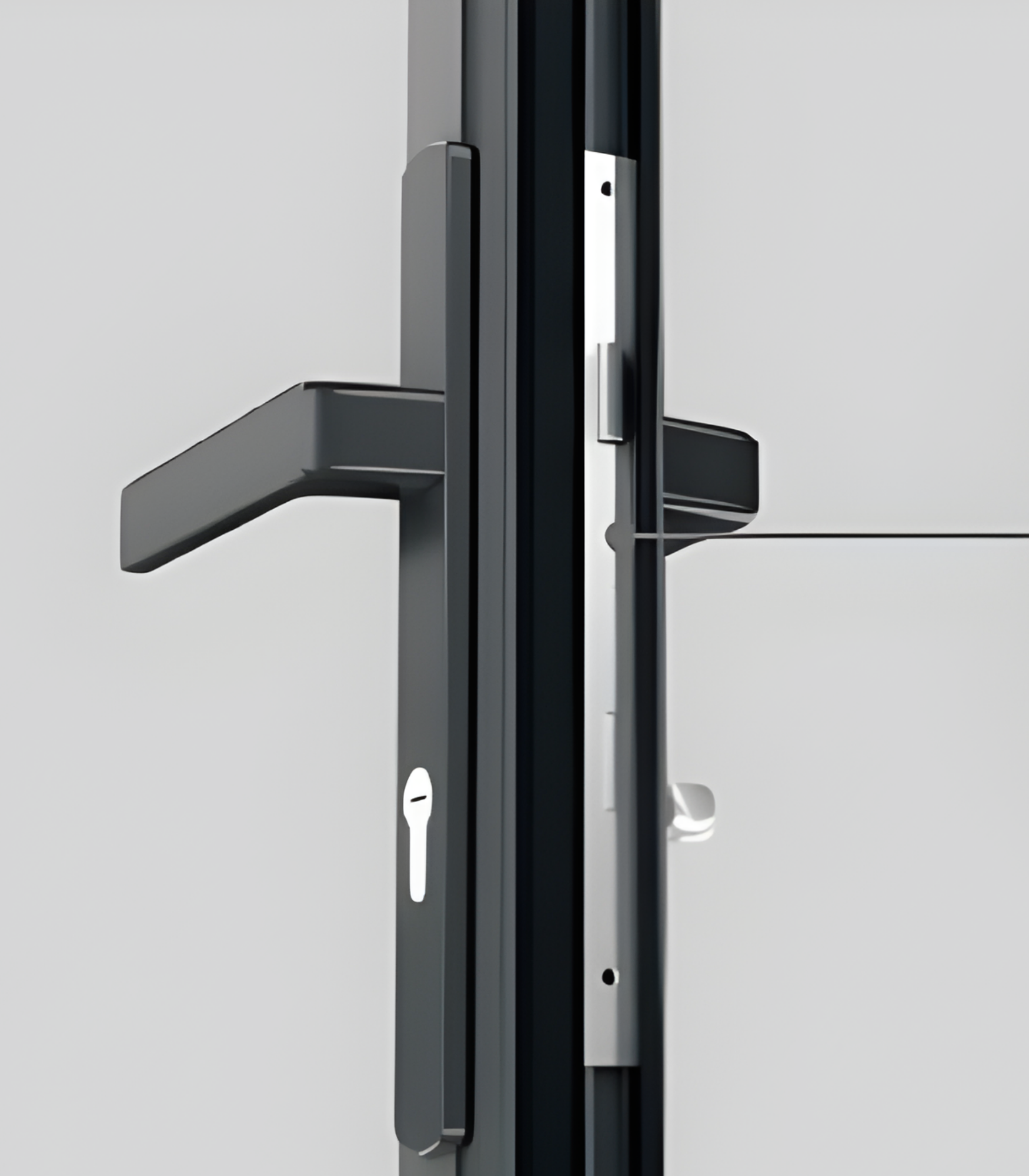 VLX 100 Swing / Entry Door in West Palm Beach, FL | TruePane Windows & Doors - detail 5